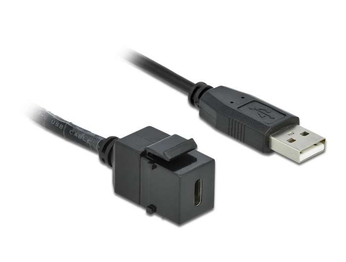 Delock Keystone Modul USB 2.0 C Buchse > USB 2.0 A Stecker mit Kabel
