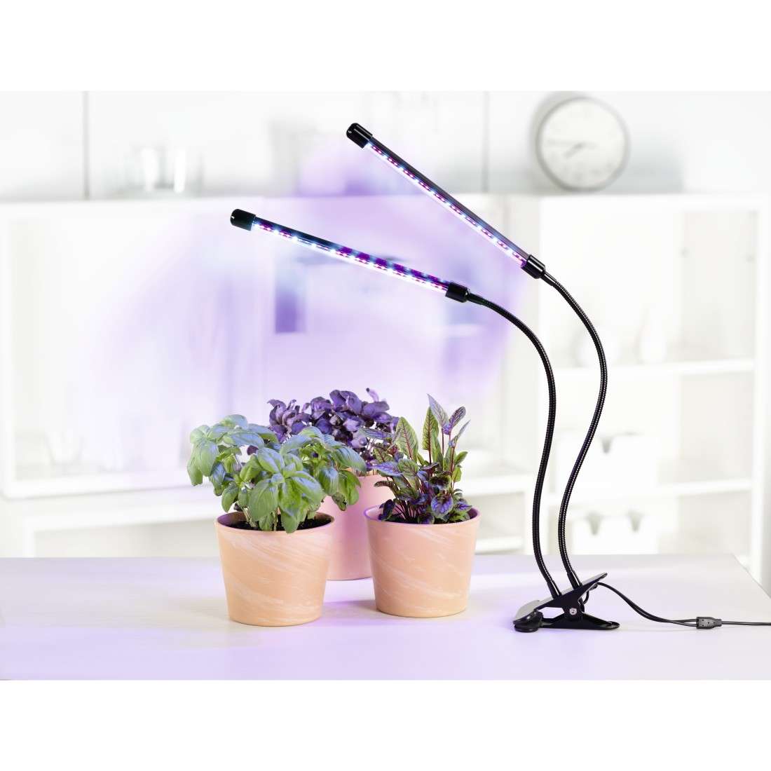 LED-Pflanzenleuchte Stick
