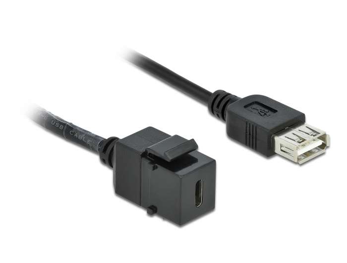 Delock Keystone Modul USB 2.0 C Buchse > USB 2.0 A Buchse mit Kabel
