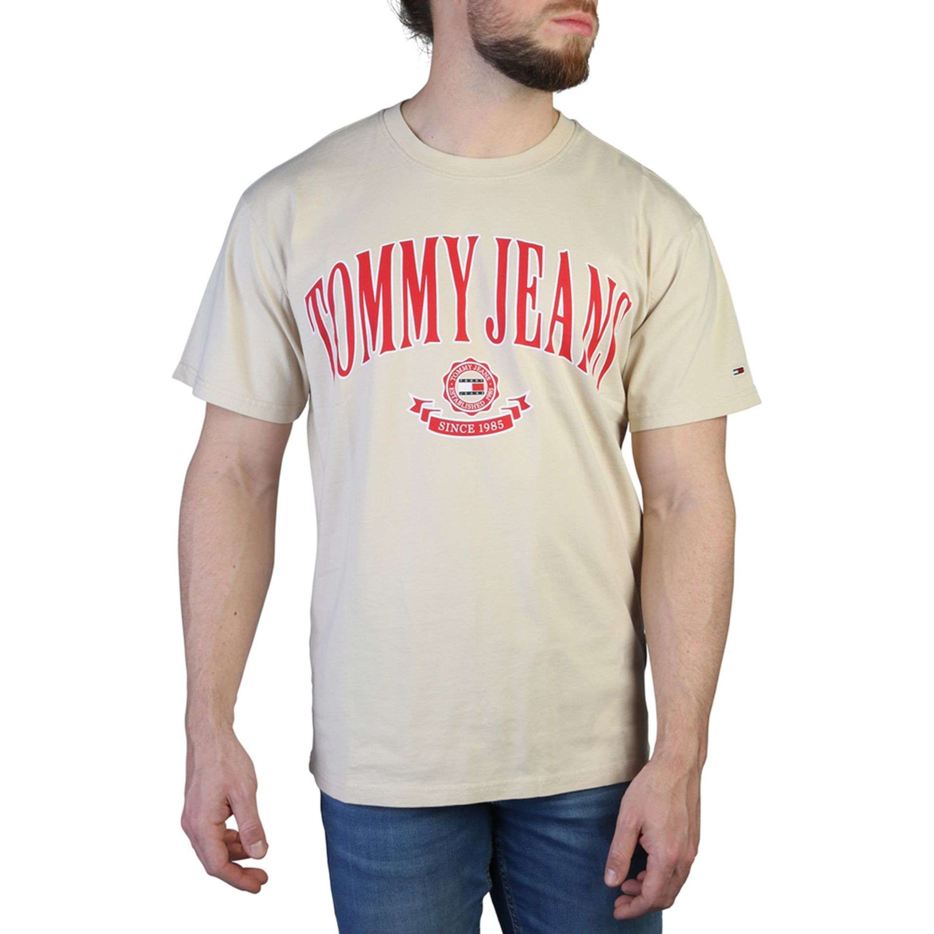 Tommy Hilfiger T-Shirt braun