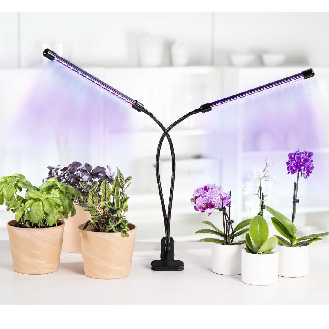 LED-Pflanzenleuchte Stick