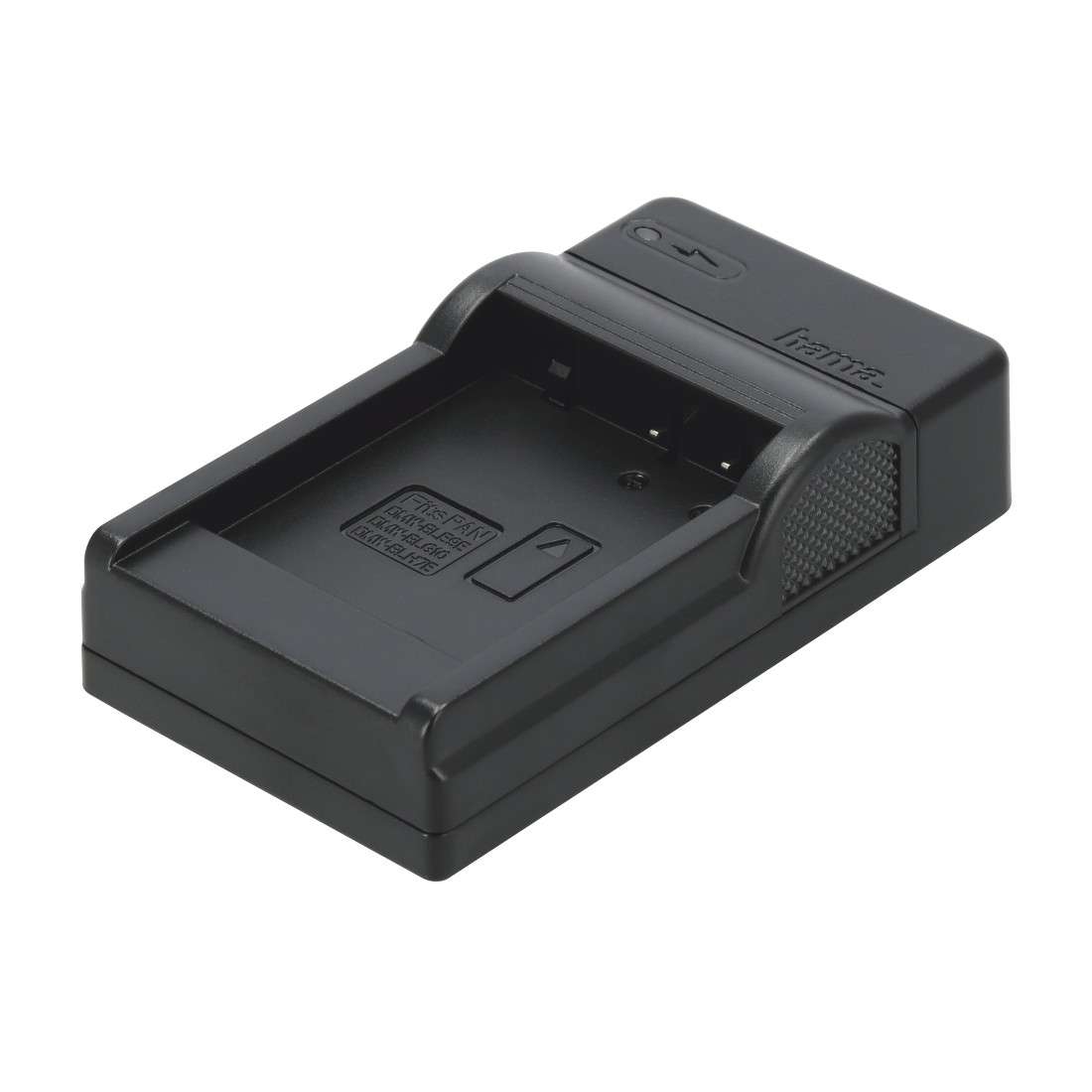 USB-Ladegerät Travel für Panasonic DMW-BLG10