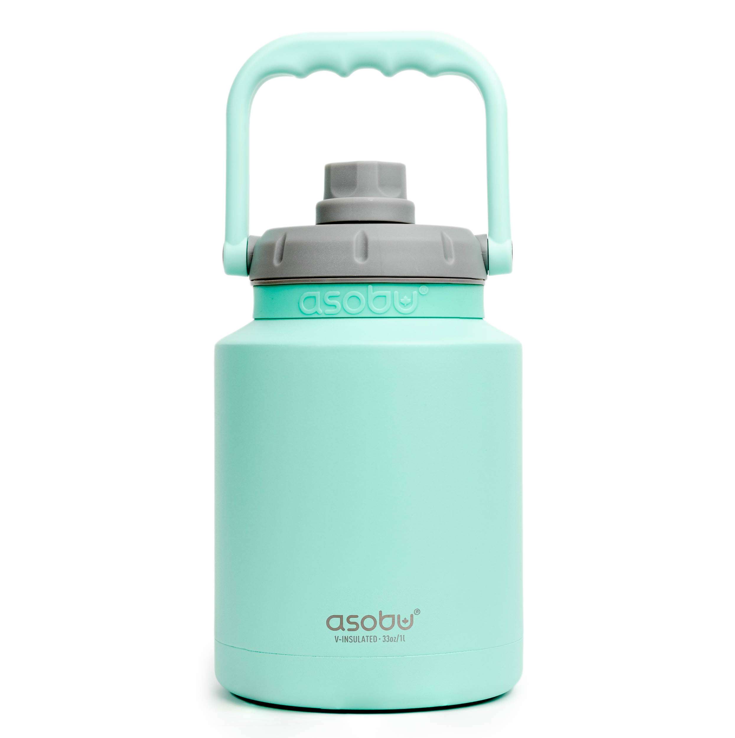 Asobu Edelstahl Trinkflasche Mini Jug 1 Liter mint